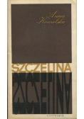 Szczelina