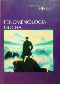 Fenomenologia ducha