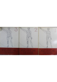 Atlas anatomii człowieka 3 tomy