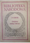 Cierpienia młodego Wertera