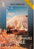 W przyamurskiej tajdze