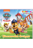 Niezawodna drużyna. Psi Patrol. Bajkowa biblioteczka