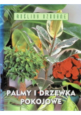 Palmy i drzewka pokojowe
