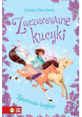 Zaczarowane kucyki Tom 4 Księżniczka Kucyków