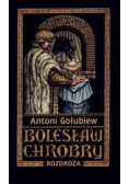 Bolesław Chrobry Tom V Rozdroża