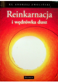 Reinkarnacja i wędrówka dusz