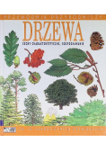 Drzewa Cechy charakterystyczne, rozpoznawanie