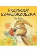 Przygody Szarobrzuszka