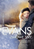 Zimowe Sny