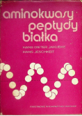 Aminokwasy peptydy białka