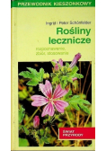 Rośliny lecznicze