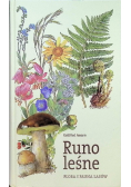 Runo leśne