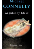 Zagubiony blask