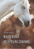 Masaż konia receptą na zdrowie