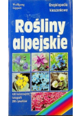Rośliny alpejskie