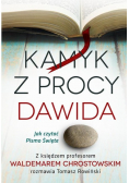 Kamyk z procy Dawida. Jak czytać Pismo Święte?