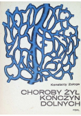 Choroby żył kończyn dolnych