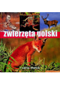 Zwierzęta Polski