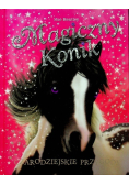 Magiczny konik Czarodziejskie przygody