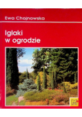 Iglaki w ogrodzie