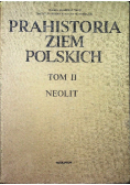 Prahistoria ziem Polskich Tom 2