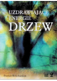 Uzdrawiające energie drzew
