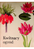 Kwitnący ogród