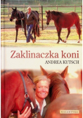 Zaklinaczka koni