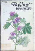 Rośliny Lecznicze