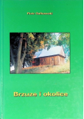 Brzuze i okolice