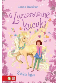 Zaczarowane kucyki. Zaklęte lustro