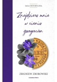 Znajdziesz mnie w cieniu guayacan