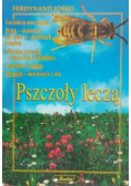 Pszczoły leczą