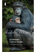 Szympansy z azylu Fauna