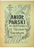 Anioł Pański w jedności z Ojcem Świętym