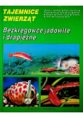 Tajemnice zwierząt  Bezkręgowce jadowite i drapieżne