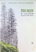 Życie drzew w skażonym środowisku