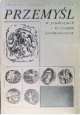 Przemyśl w pradziejach i wczesnym średniowieczu