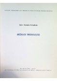 Bóżnice drewniane