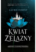 Kwiat Żelazny. Kroniki Czarnej Wiedźmy. Tom 2