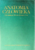 Anatomia człowieka