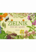 Zielnik Zioła łąk i ogrodów