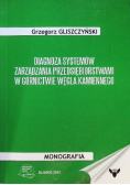 Diagnoza Systemów Zarządzania Przedsiębiorstwami w górnictwie węgla kamiennego