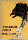 Spontaniczna kultura młodzieżowa. Wybrane zjawiska.