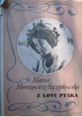 Z lotu ptaka