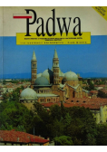Padwa 115 ilustracji kolorowych