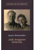 Jak ścigane zwierzę