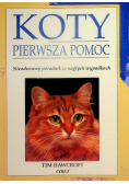 Koty pierwsza pomoc