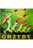 Grzyby