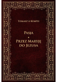 Pasja Przez Maryję do Jezusa
